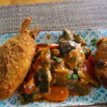 Fishiaria Nourriture