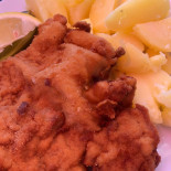 Podroužek Cibo