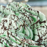 Coccolato Nourriture