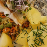 U Radnice Cibo