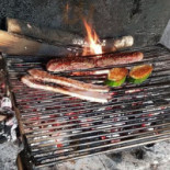 Ucerta Cibo
