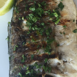 Marivista Fish Nourriture