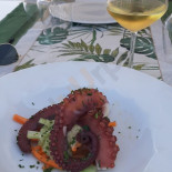 Marivista Fish Nourriture