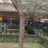 Pico Extérieur