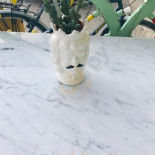 Marè Gelati E Ricordi À l'intérieur