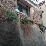 Sapori E Saperi Exterior