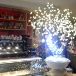 Caffe Della Corte Pasticceria Comida