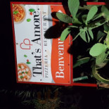That's Amore Exterior