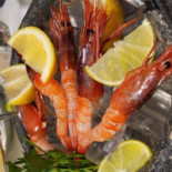 Deros Cibo
