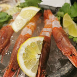 Deros Cibo