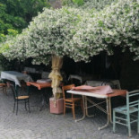 Il Terziere Di Poggio