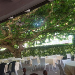 Trattoria Il Platano inside