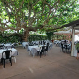 Trattoria Il Platano inside