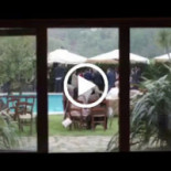 Villapiana Country House outside