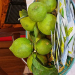 Osteria Del Borgo food