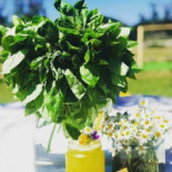 Agrobistrot Comida