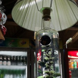 Chiringuito Nourriture