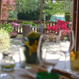 Belvedere Comida