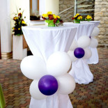 Restaurace U Kolji Cibo