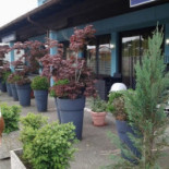 Amici Miei Exterior