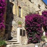 Borgo Antico Cervo (im) Nourriture
