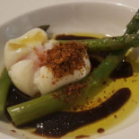 Ardengo Cibo