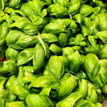 Il Focacciaio Nourriture