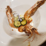 Ciborgo Comida