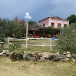 Agriturismo Antico Pozzo Degli Ulivi food
