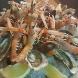 Escopocodisera Essen