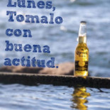 Fiesta Y Siesta Nourriture