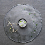 Terra Dentro