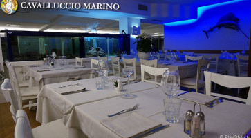 Cavalluccio Marino Riccione food