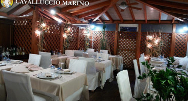 Cavalluccio Marino Riccione food