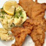 Archa Cibo