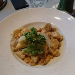 Shock Cibo