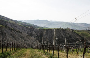 Cantina Colli Ripani food