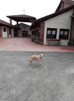 Agriturismo La Smiraglia outside