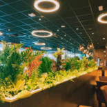 Tesake Sushi Comida