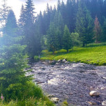 Lyer Pivovar Modrava Cibo