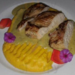 Aplaus Cibo