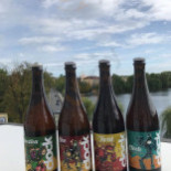 Aux Cibo