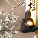 Zen Sushi Food