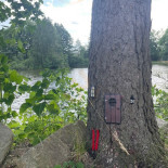 Bistrot De Papa Cibo