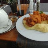 Aplaus Cibo