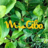 Miocibo Exterior