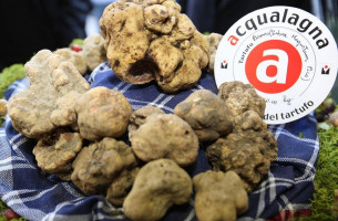 Tartufi Di Acqualagna.it Truffle Shop And Tasting food