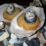 Quercus food