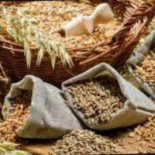 Baldostube food