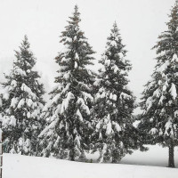 Rifugio Stella outside